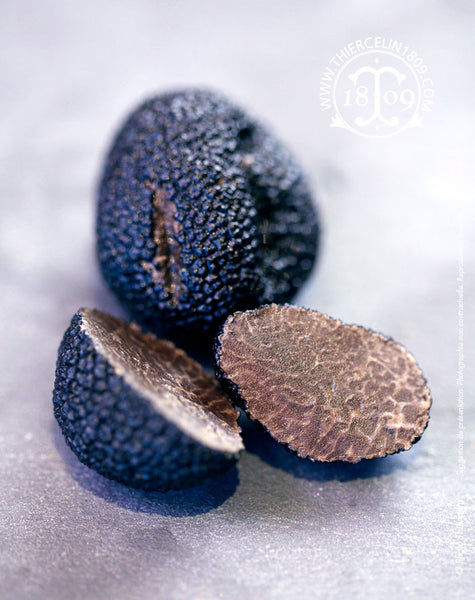 Beurre de truffe noire du Périgord - Terre de saveurs
