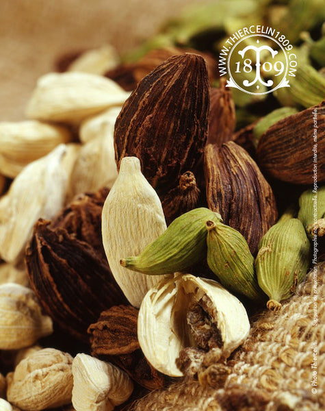 Pourquoi manger de la cardamome : bienfaits et vertus
