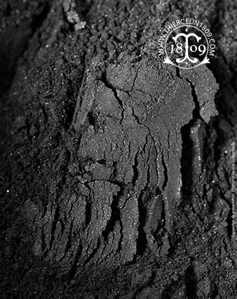 Pourquoi manger du charbon végétal actif : vertus et bienfaits