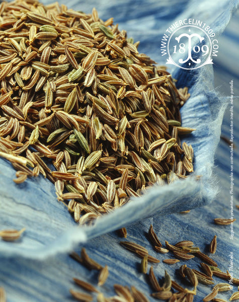 Pourquoi manger du cumin : Vertus et bienfaits