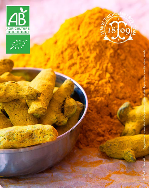 Pourquoi manger du curcuma : vertus et bienfaits