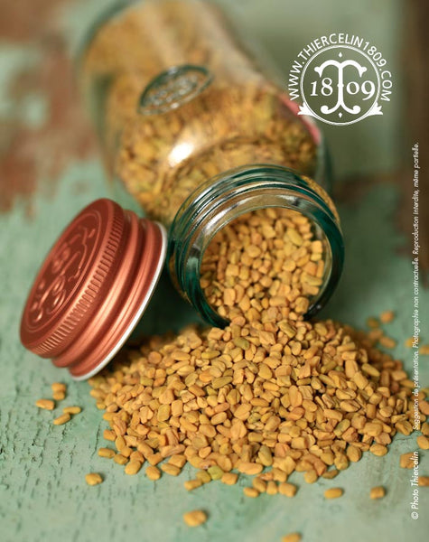 Pourquoi manger du fenugrec : vertus et bienfaits