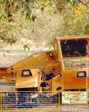 Amandes lait concentré, pâte concentrée