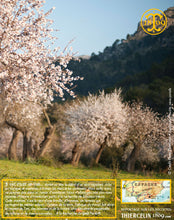 Amandes Blanchies, poudre