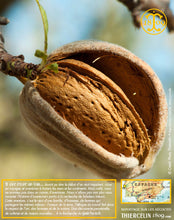 Amandes Blanchies, entières décortiquées