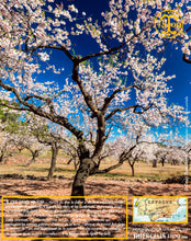 Amandes Blanchies, Effilées