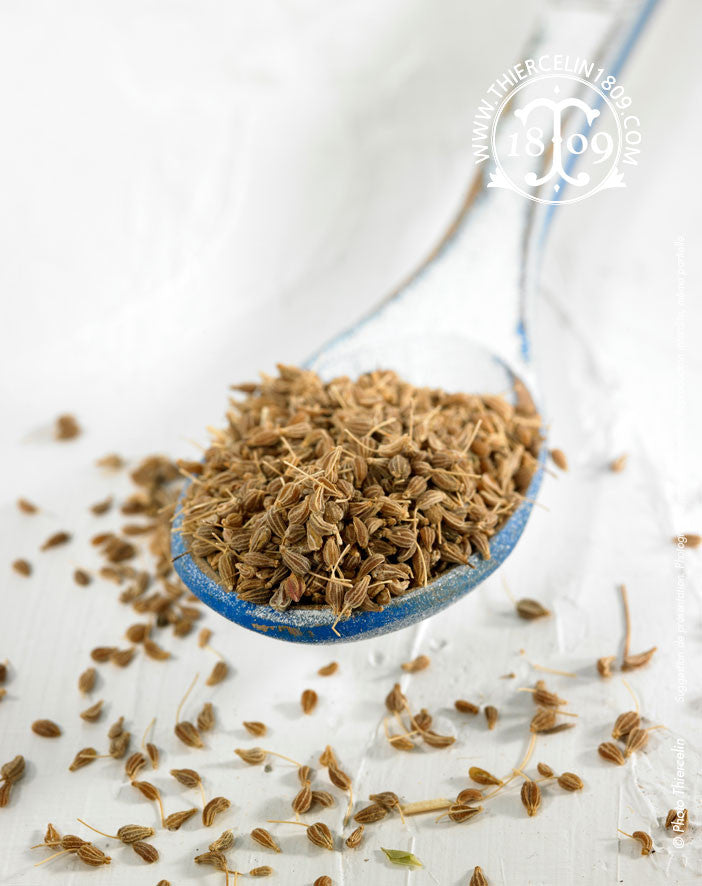 Anis sauvage - riche en huile essentielle - recette facile - remede