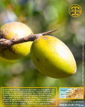 Huile d'Argan, vierge, première pression à froid, Fabrication Artisanale