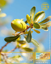 Huile d'Argan, vierge, première pression à froid, Fabrication Artisanale