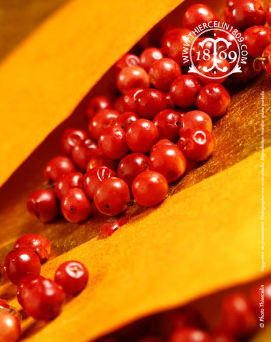 Baies roses - recette facile - riche en huile essentielle