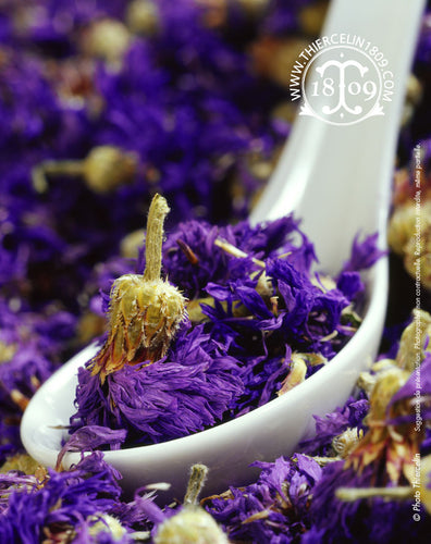 Bleuet - fleurs séchées - recette facile - remede de grand mere