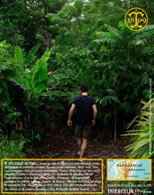 Fèves de cacao, entières améliorées