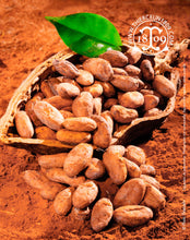 Fèves de cacao, entières améliorées