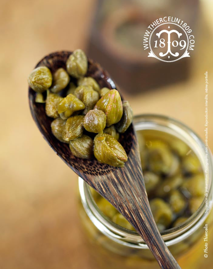 Câpres capucines, bouton floral