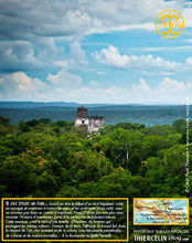 Cardamome verte, capsules entières