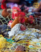 Petite escale au marché, comme à notre habitude à chaque arrivée. Là, peu d'épices. Le marché se concentre sur les aliments de base et autres légumes frais. Thiercelin