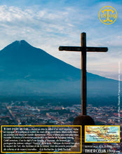 Cardamome verte, capsules entières