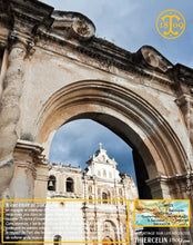 Cardamome verte, capsules entières