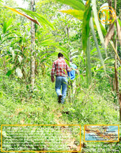 On continue à s'enfoncer dans la jungle… Thiercelin