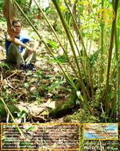 Une pause s'impose… ;) Thiercelin