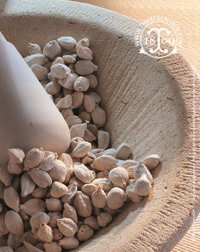 cardamome (Elettaria cardamomum) ou Green cardamom, Grüner Cardamom, Kardemumma, Kardemom, Cardamomo, Κάρδαμο, הל (Hel), इलायची, حب الهان (Habbu al-hal), هل (hel), Շուշմիր (Shushmir), Элеттария кардамон