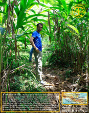 Bah qu'est-ce que vous faites? Ne trainez pas… Vous allez vous perdre. Allé, suivez-moi :) Thiercelin