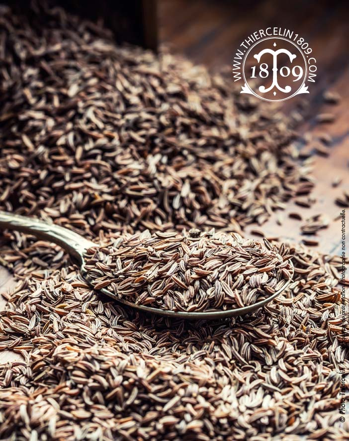 CARVI NOIR, graines