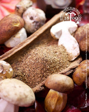 Cèpe ou Bolletus edulis réduits en poudre