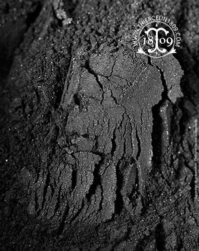 Charbon végétal actif BLACK PEARL® (super activé)