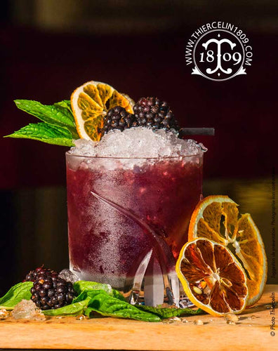 ORANGE, tranches séchées pour cocktails