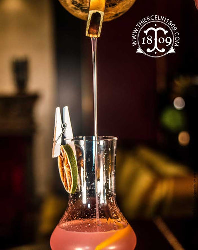 CITRON VERT, tranches séchées pour cocktails