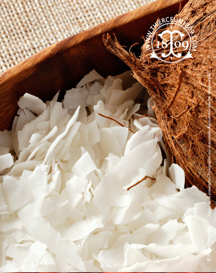 Noix de coco, lamelles séchées - Thiercelin