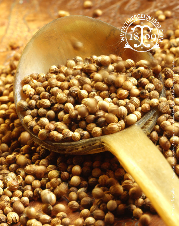 coriandre (Coriandrum sativum) ou Coriander, Koriander, Cilantro, Cilandro, Coriandro, Coriandolo, Coentro, धिनया, القسبر يابس, Σπόροι κορίανδρου, Кориандр, 芫荽子, 코리앤더 씨, 고수 씨, コエンドロ