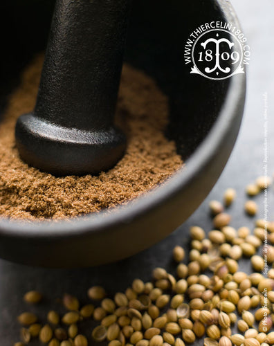 coriandre en poudre (Coriandrum sativum) ou Coriander powder, Koriander poeder, Cilantro in polvere, Cilandro en polvo, Coriandro, Coriandolo, Coentro, धिनया, القسبر يابس, Σπόροι κορίανδρου, Кориандр, 芫荽子, 코리앤더 씨, 고수 씨, コエンドロ