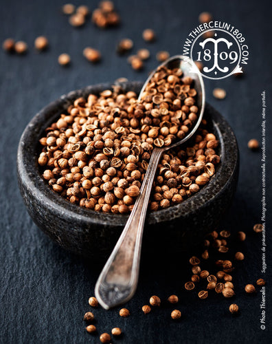 coriandre (Coriandrum sativum) ou Coriander, Koriander, Cilantro, Cilandro, Coriandro, Coriandolo, Coentro, धिनया, القسبر يابس, Σπόροι κορίανδρου, Кориандр, 芫荽子, 코리앤더 씨, 고수 씨, コエンドロ