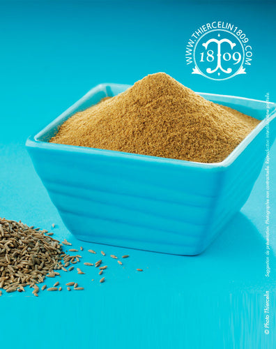 cumin réduit en poudre (Cuminum cyminum) ou Kreuzkümmel, Komijn, Spisskarve, Kmin, Spiskummin, Kloeftsvoeb, Comino, Maustekumina, Borsos kömény, Comino,  κύμινο, كمون (kammun, keymoun), כמון (kamon), जीरा, тимон, 小茴香, 커민, クミン