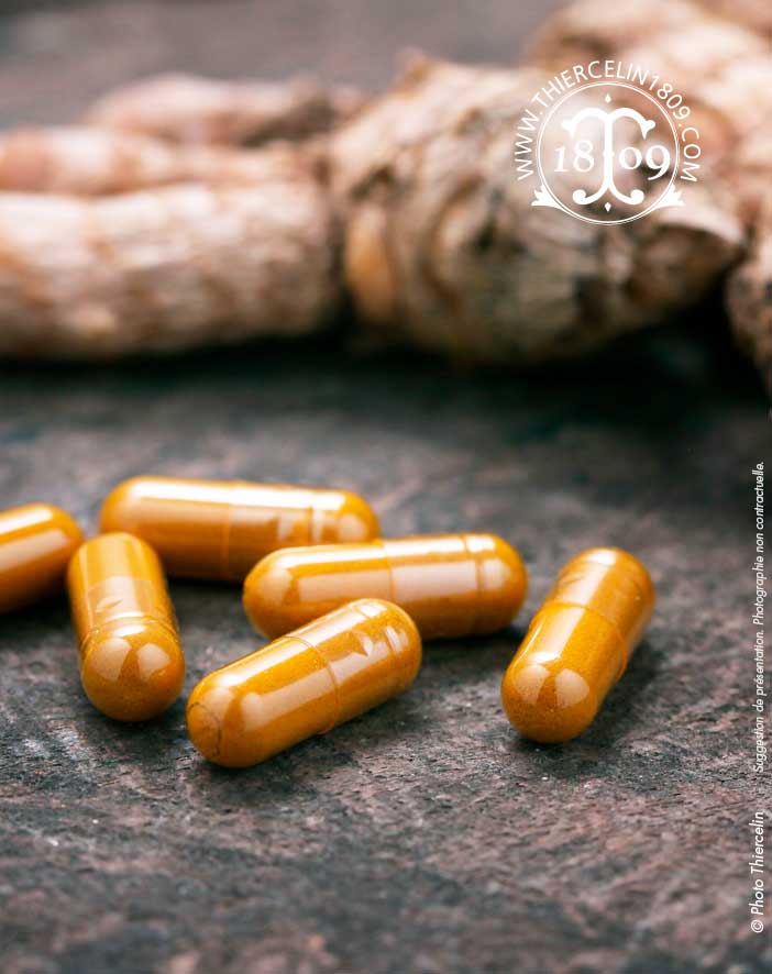 Gélules de Curcuma fermenté super concentré 100%