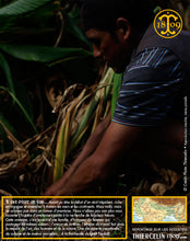 il faudra gratter la terre… Thiercelin