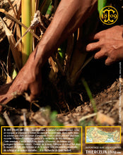 et voilà le trésor caché qui s'offre à nous… Thiercelin