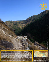 Notre curcuma BIO pousse en altitude dans une région dénuée de toute pollution à la végétation luxuriante… Thiercelin