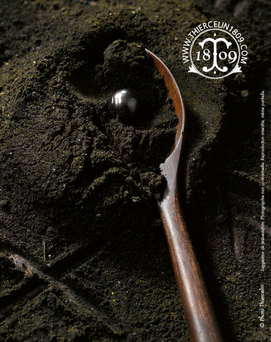 Curry Black Pearl® - curry noir - recette burger noir - riche en curcumine et charbon végétal