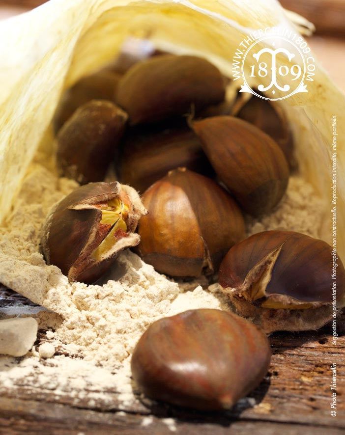 Farine de Châtaigne Sauvage - recette sans gluten - farine sans gluten