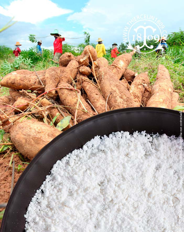 Fécule de Manioc