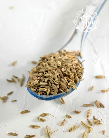 Fenouil, graines – Thiercelin - La Santé vous va si Bien®