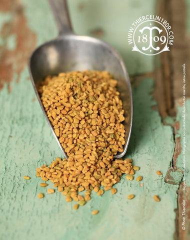 Découvrez les bienfaits de la poudre de graines de fenugrec bio – Z Natural  Foods