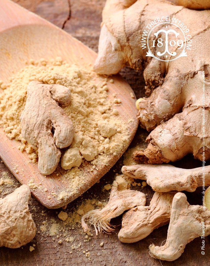 Gingembre En Poudre Tradition Nature - Épice Naturelle, Neuf Sous Emballage D’origine