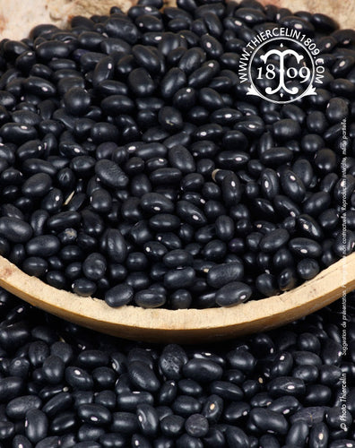 HARICOTS COCOS NOIRS, entiers