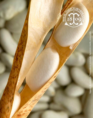 Haricots Tarbais, entiers, France - Thiercelin