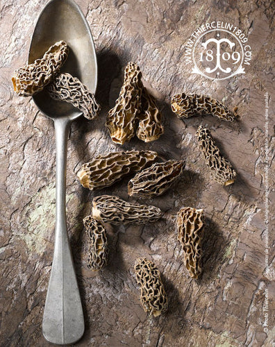 Morilles mini, équeutées et séchées, calibre 15-20 mm