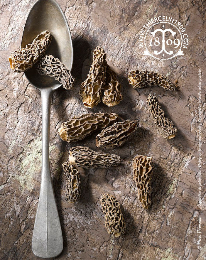 Morilles mini, équeutées et séchées, calibre 5-10 mm
